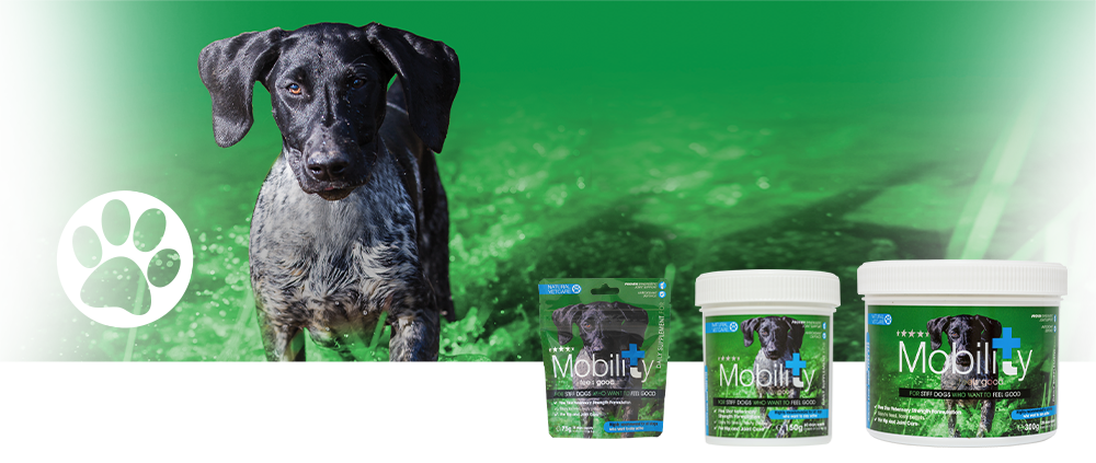 Veterinary strength joint support for active or working dogs.