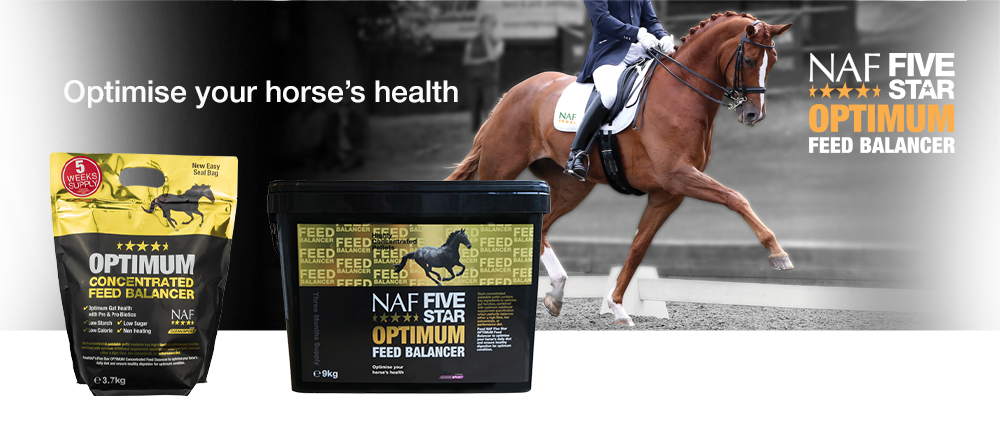 Concentrated, sugar free, high specification feed balancer for every horse