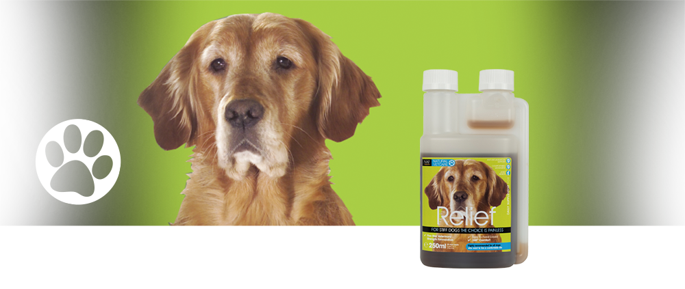 A powerful herbal liquid to target joint comfort in dogs.