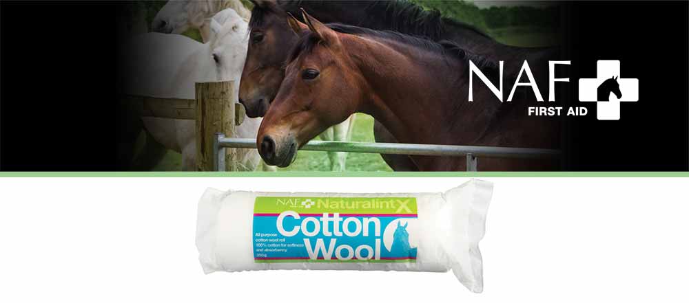 Super soft and absorbent, made from 100% natural cotton fibre