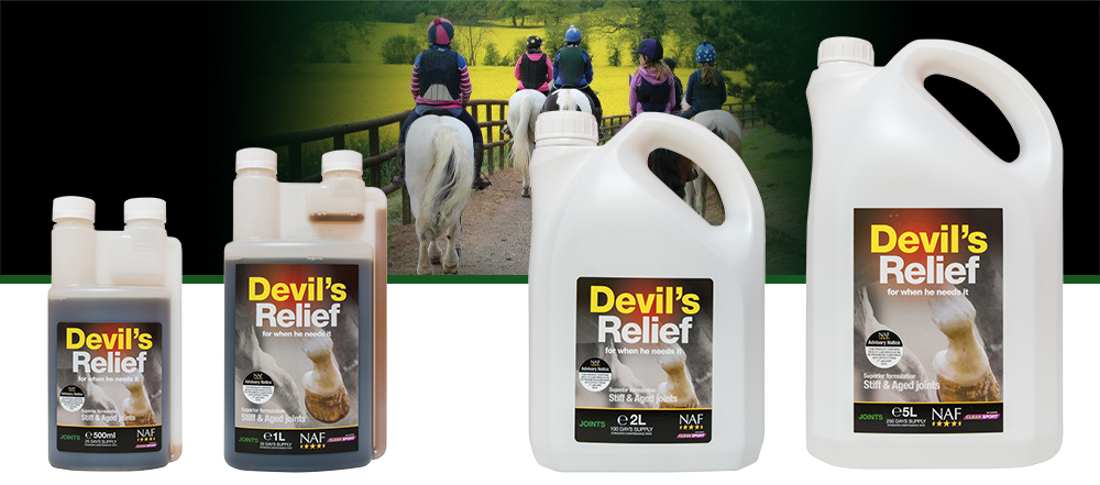 Natural relief to comfort old or stiff joints. <br><br> <strong>This product contains devil’s claw which is an FEI prohibited substance</strong>