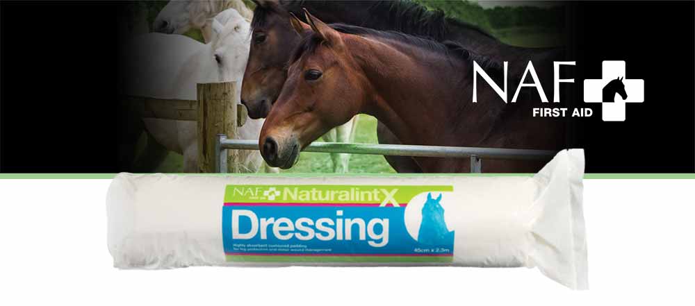 Softly cushioned dressing to protect the leg during wound management