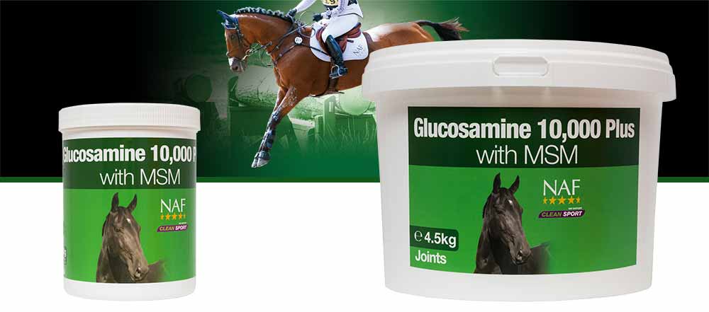 NAF Glucosamine 10000 Plus With MSM Horse Joint Supplement 900g 