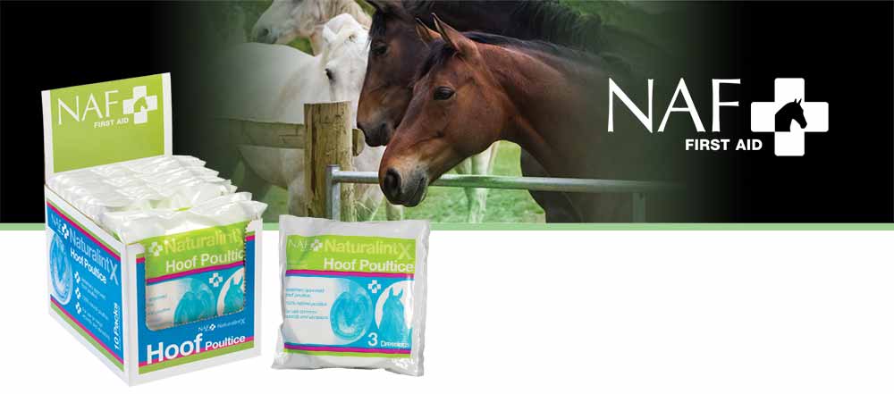 Highly absorbent multi layered dressing designed to fit comfortably in the hoof