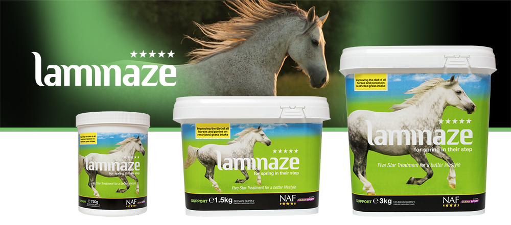 Provides nutritional support for horses and ponies on restricted grass intake