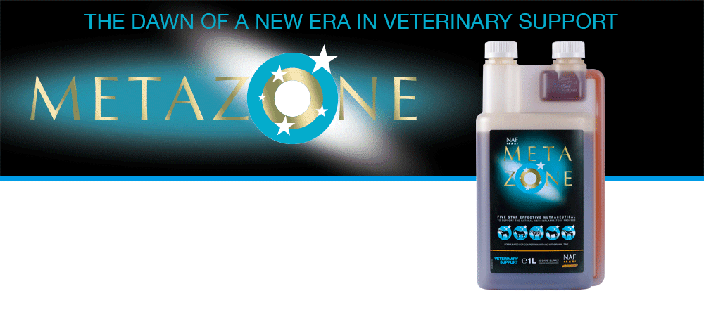 Formulated to support the anti-inflammatory process