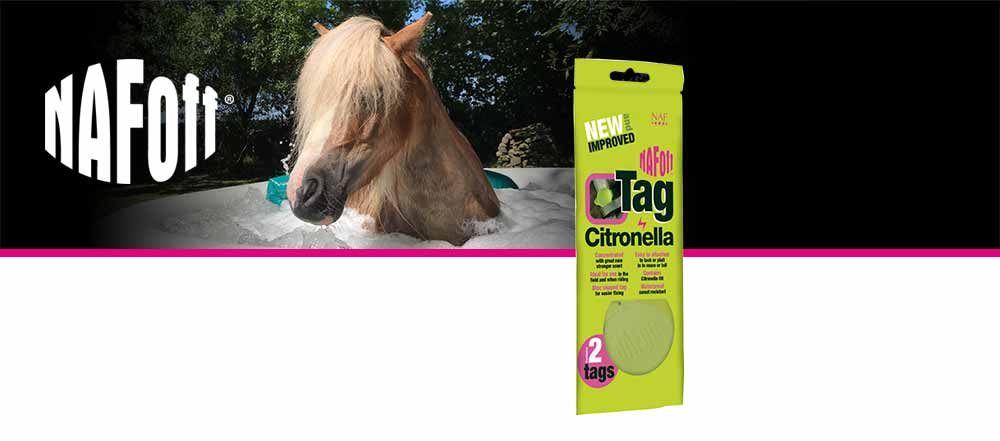 Silicone tag with citronella for attaching to tack or rugs during the summer