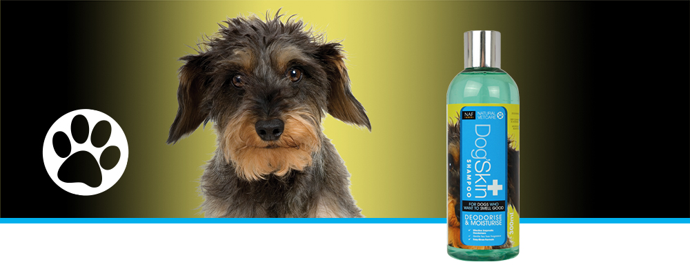 A gentle but effective deodorising shampoo for dogs prone to unpleasant odour or who roll in things they shouldn't!