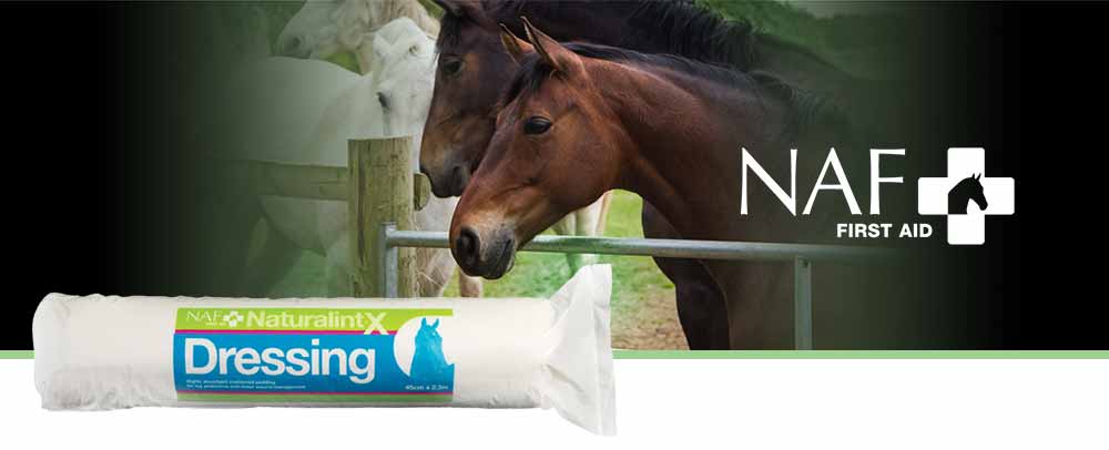 Softly cushioned dressing to protect the leg during wound management
