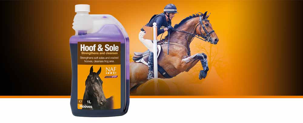 Strengthens soft or cracked hooves and disinfects the soles and frogs