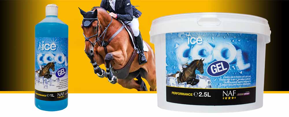 Freshens and cools your horse legs after work by reducing body temperature