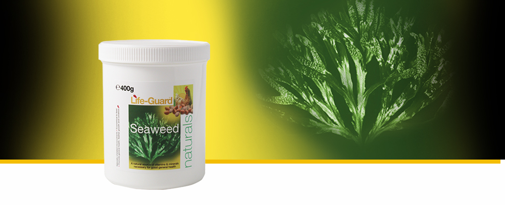 A natural source for a full range of vitamins & minerals.