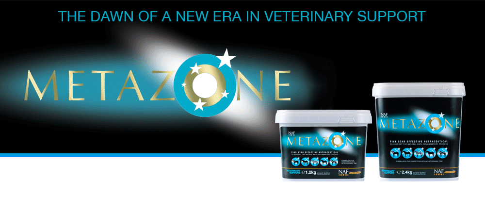 Formulated to support the anti-inflammatory process