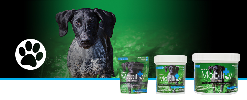 Veterinary strength joint support for active or working dogs.