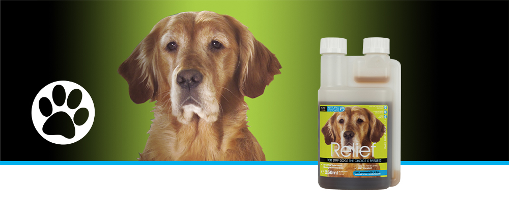 A powerful herbal liquid to target joint comfort in dogs.