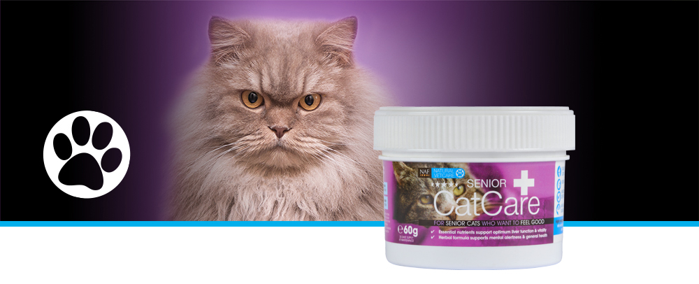 Veterinary strength nutritional supplement for older cats and those in need of kidney support.