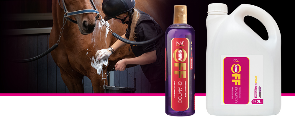 Ultra violet shampoo for a deep clean and bright shine