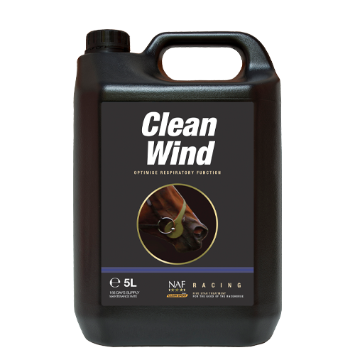 Clean Wind