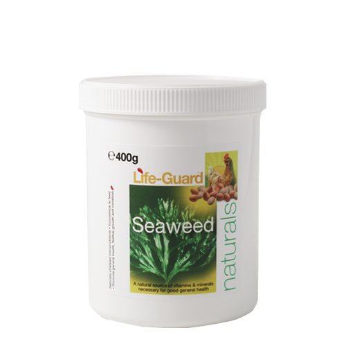 LG Seaweed