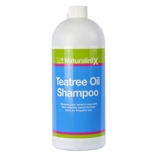Teatree Oil Shampoo