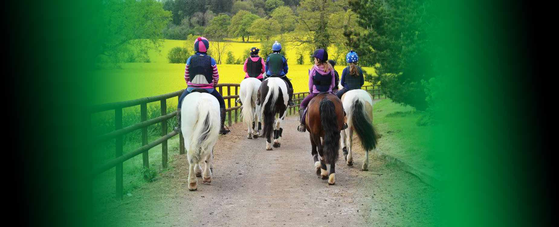 Our aim is to offer your horse the finest choice as nature intended