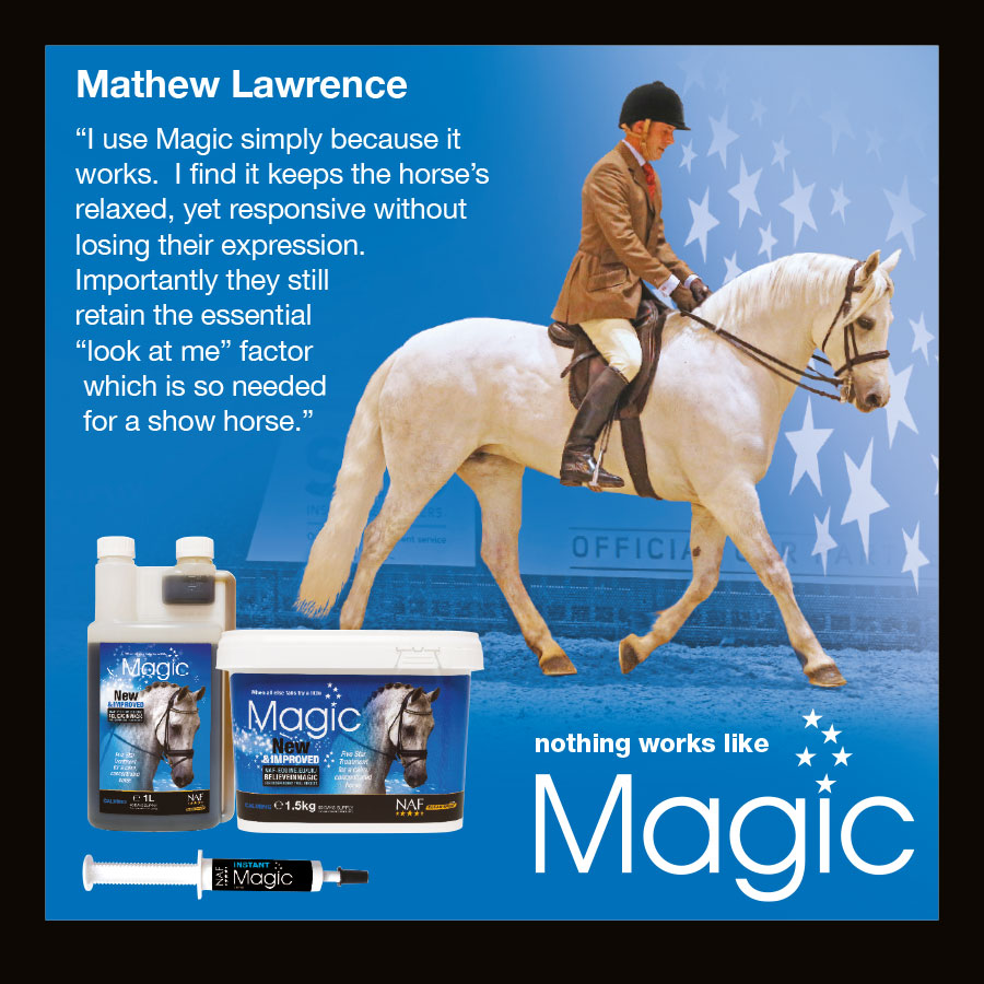 Matthew Lawrence - Magic