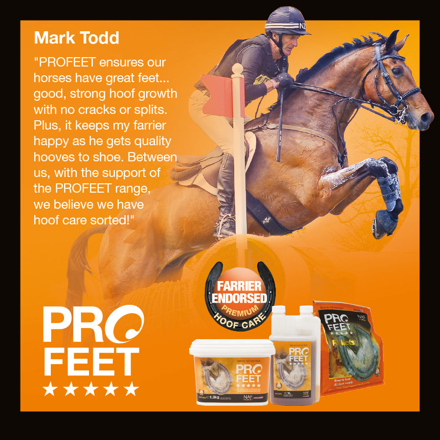 Mark Todd - PROFEET